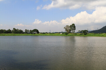  the fish pond at Shan Pui Tsuen, hk 23 July 2011