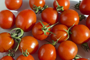 
Red cherry tomatoes are gathered.