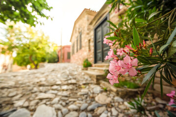 Selective focus, old stone made buildings with beautiful sun light and flowers on foreground