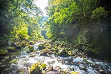 宮崎県　天岩戸神社・岩戸川
