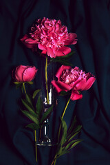 Background banner with a composition of flowers. A bouquet of bright peonies on a dark background. Restrained.view from above.Beautiful fresh peonies on black background, close up. Floral card design