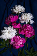 Background banner with a composition of flowers. A bouquet of bright peonies on a dark background. Restrained.view from above.