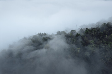 Fototapeta na wymiar fog and mountains in the morning
