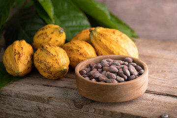 Ripe cocoa pod and nibs, cocoa beans setup background