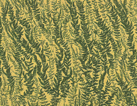 Abstract pattern of fern leaves