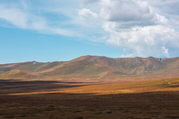 Motley autumn landscape with sunlit high mountain plateau and mountain range under dramatic cloudy sky. Vivid autumn colors in mountains. Sunlight and beautiful shadows of clouds in changeable weather