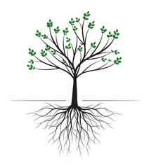 Fototapeta premium Natural shape of Tree with Roots. Vector Illustration. Drawing plant isolated.