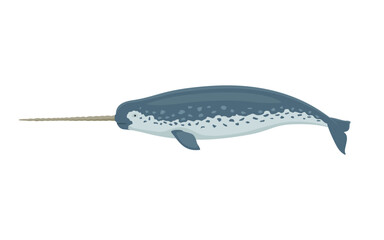 Narwhal with a horn - obrazy, fototapety, plakaty