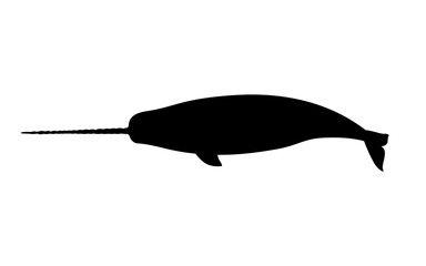 Vector illustration of a black silhouette narwhal