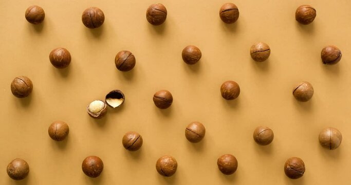 Macadamia nuts patern with a one open and close nut on a brown background. Looped 4K stop motion animation