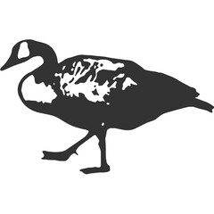 Swan Vintage Illustration Vector