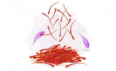 Dry saffron stamens vector illustration with saffron flower petals