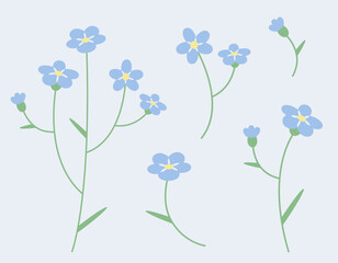 Set of myosotis design elements. Wildflowers in flat style.