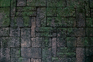 The old red brick wall with green moss is a block texture background for design and decoration.