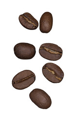 Coffee beans in PNG format ...