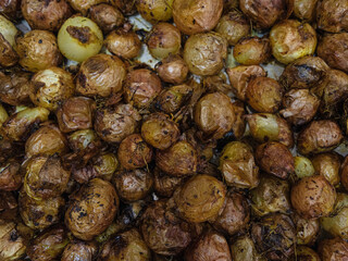 fried delicious onions on plate