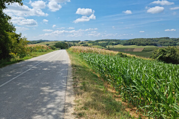 Naklejka premium Road through scenic agricultural landscape view