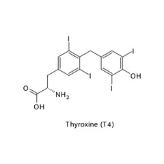 Thyroxine (T4) molecule flat skeletal structure, Thyroid hormone  Vector illustration on white background.