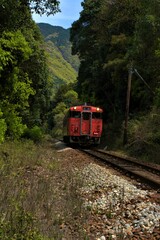 Obraz premium 芸備線を走る気動車キハ４０