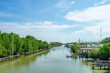 Fototapeta premium Beautiful scenic of the green river between mangroove and the seaside village in Bangkok, Thailand.