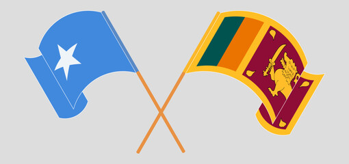 Crossed and waving flags of Somalia and Sri Lanka