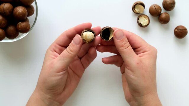 Female hands open macadamia nut with a metal key
