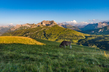 Obraz premium Stunning sunset hike from the top in the austria mountain