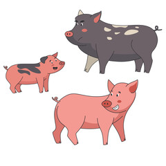 A family of pigs stands on a white background.