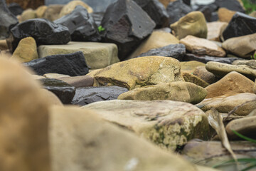 Fototapeta na wymiar River Stone Background . Wet stones. Stones after rain. Close up