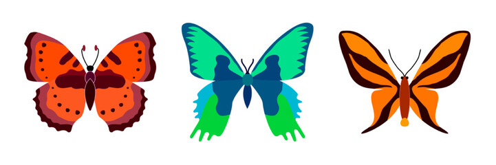 Collection of butterflies on a white background. Isolated cartoon icon set, decorative insect.