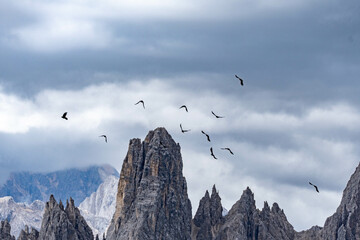 Birds flying between the mountains
