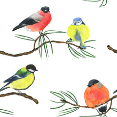 Fototapeta premium Winter bird on pine twig seamless pattern on white background. Chickadee and bullfinch. Watercolor hand drawing illustration. Perfect for textile, backdrop, animal print.