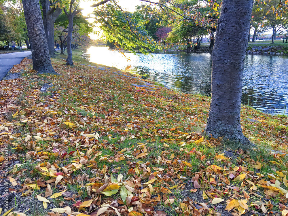 Sticker green, red and orange autumn leaves background. colorful outdoor image of fallen autumn leaves perfe