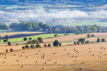 Obraz premium Rural landscape view with bales on a field