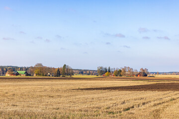 Fototapeta na wymiar Field stubble on a field at a rural view