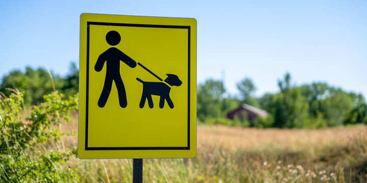 big yellow dog walk area sign