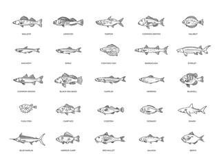 Types marine, ocean fish and Freshwater fish