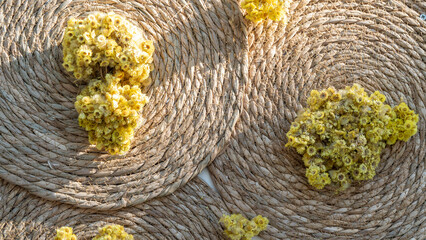Ikebana of dried flowers on braided round substrates, floral arrangement