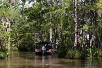 Covered Swamp Tour Boat at Honey Island Swamp with Green Trees Covered in Spanish Moss in Louisiana