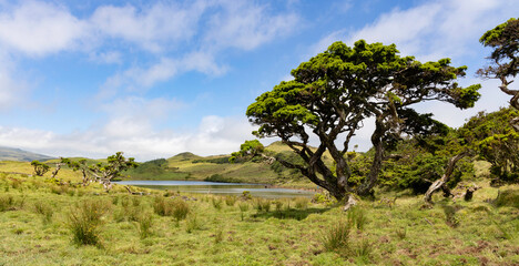 Fototapeta na wymiar Azoren - Insel Pico: Der Hochlandsee Lagoa do Capitao