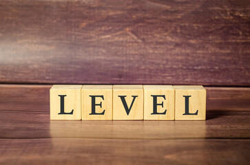 word level on wooden blocks and wooden background