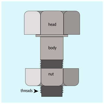 hex bolt nut stainless for teaching material
