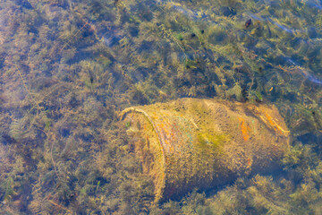 Sunny view of the landscape in Big bear lake