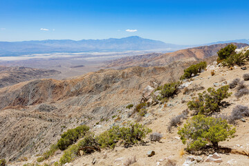 Landscape in Joshua Tree National Park