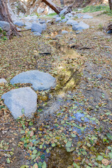 Sunny view of the beautiful Switzer Falls Trail