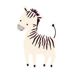 Cute zebra animal