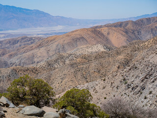 Landscape in Joshua Tree National Park