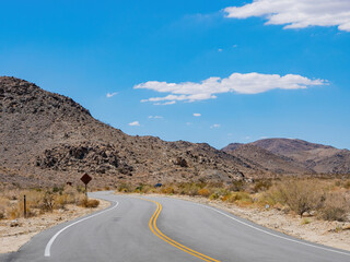 Landscape in Joshua Tree National Park