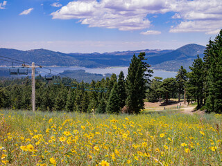 Sunny aerial view of the Big bear lake