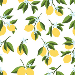 Seamless pattern of hand drawn lemon branch. Floral print. Sketch Exotic tropical citrus fresh fruit, lemons with leaves and flowers. Vector cartoon minimalistic style illustration. Cute Doodle